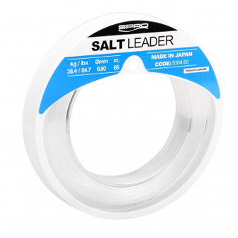 Spro salt leader