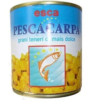 Pescacarpa  Mais geel