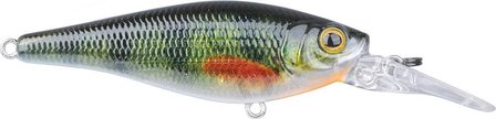 Ikiru Shad 60 - Green perch