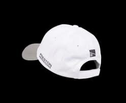 Preston White PI Logo cap / pet