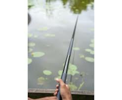 Zebco Ambition Power Margin Pole - 5.5m