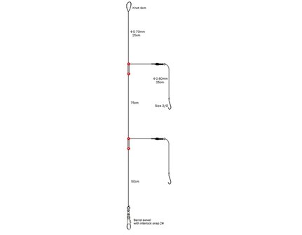 2-Haaks rondvis paternoster