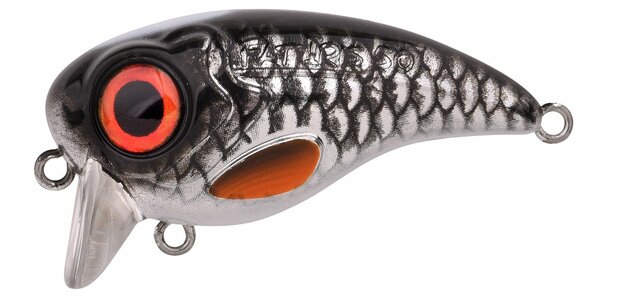 Spro Fat IRIS 50- Roach 5cm - 10g