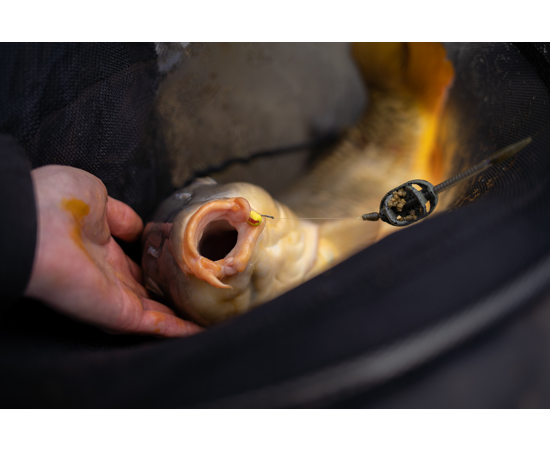 Sonubaits Band'um Wafter - Power Scopex 6mm