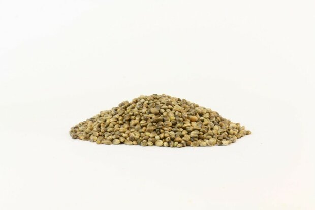 Evezet hennep zaad - 1 kg