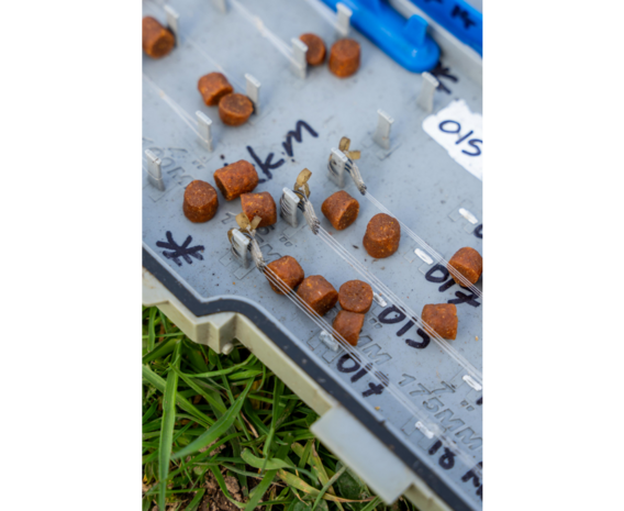 Nieuw! Sonubaits Mega Carp Pellets