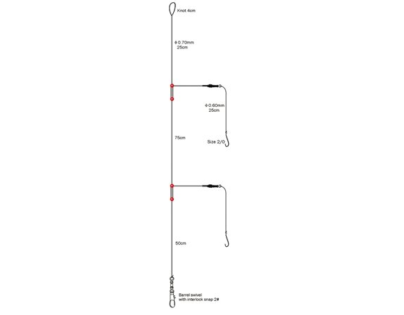 2-Haaks rondvis paternoster