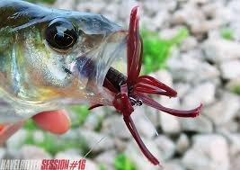 Keitech Little spider 2"