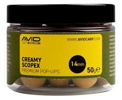 Avid Premium pop-up / Creamy Scopex 14mm